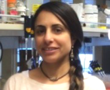 Shiri Levy, PhD